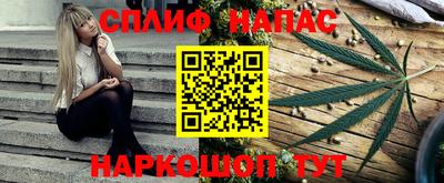 apvp Нальчик